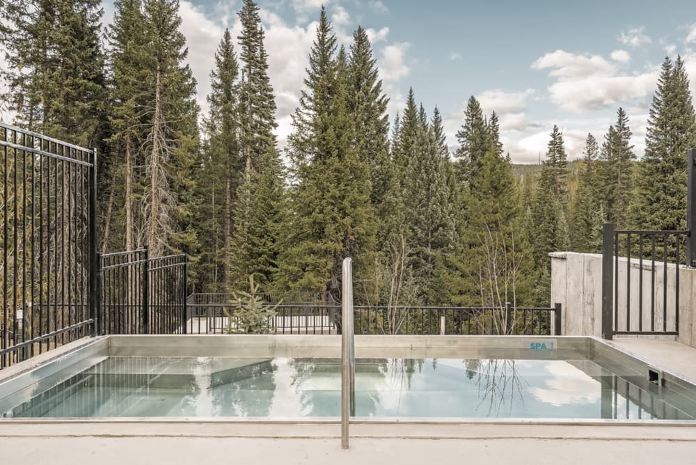 The outdoor pool and hot tub deck on a clear day, pines rising behind
